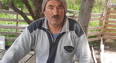 Kurt, kurbanlık kuzuları telef etti