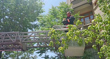 Malatya'da metruk evin penceresine sıkışan kedi itfaiye tarafından kurtarıldı