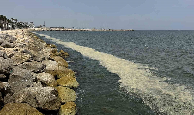 Mersin Körfezi'nde 'alg patlaması ve müsilaj kalıntıları'