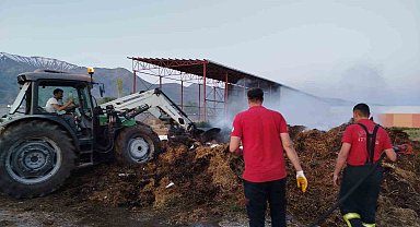 Samanlık yangını büyümeden söndürüldü