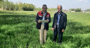 Yem Bitkisi Denetimleri Devam Ediyor