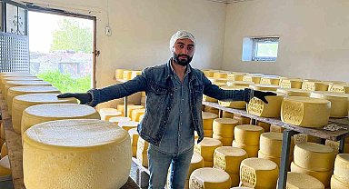 Kars'ta tonlarca süt, eski kaşar için işleniyor