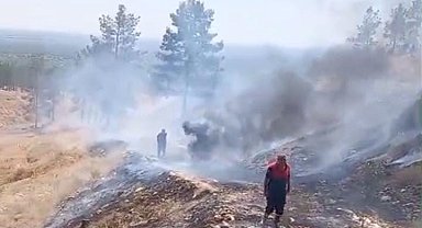 Sigara izmaritleri yangınlara neden oldu