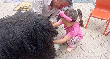 Şırnak'ta öğrencilere keçi sağımı uygulamalı olarak gösterildi