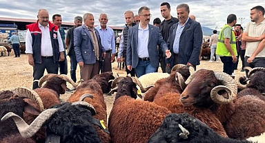 Vali Ercan Turan’dan Kurban Bayramı Öncesi Hayvan Pazarı Ziyareti