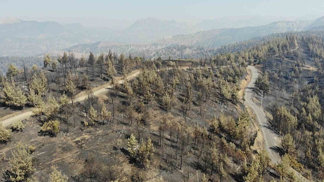 Kahramanmaraş'ta yangın sonrası küle dönen ormanlık alan dronla görüntülendi