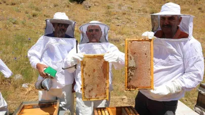 Kahramanmaraş’taki Engizek Yaylası’nda bal mesaisi