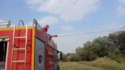 Elazığ’da ağaçlık alanda çıkan yangın ekipler tarafından  söndürüldü
