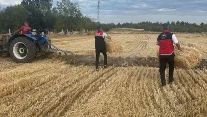 Tarım Müdürlüğü ekipleri yangın sonrası üreticilerin yanında