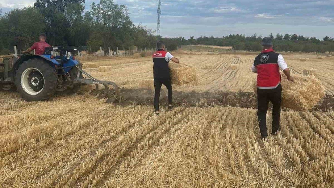 Tarım Müdürlüğü ekipleri yangın sonrası üreticilerin yanında
