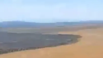 Balıkesir’de tarla yangını sonrası üzücü manzara