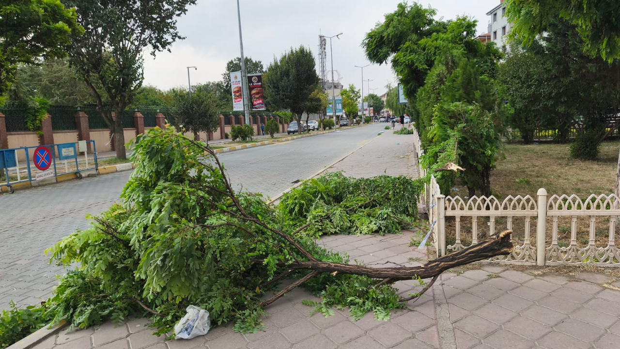 Iğdır’da Fırtına Etkili Oldu: Vatandaşlar Zor Anlar Yaşadı