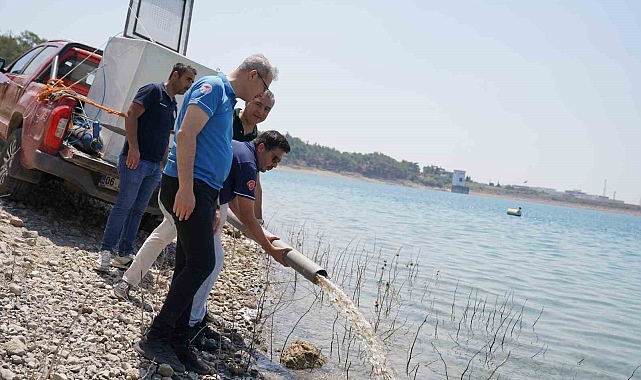 Adana'da yetişen 10 milyon 500 bin yavru sazan 12 ilde 129 göl ve göletlere bırakıldı