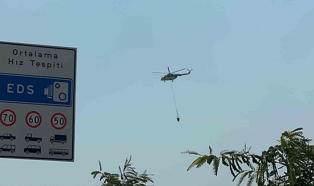 Antalya'da bir orman yangını daha