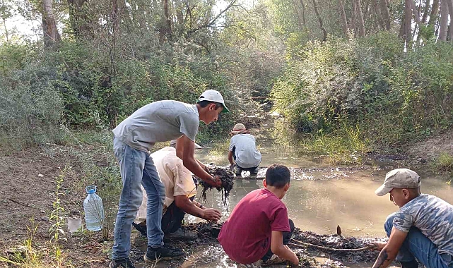 Hayvanları su içebilsin diye elleriyle mini gölet yaptılar