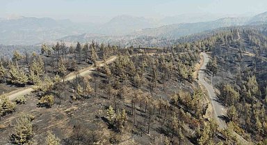Kahramanmaraş'ta yangın sonrası küle dönen ormanlık alan dronla görüntülendi