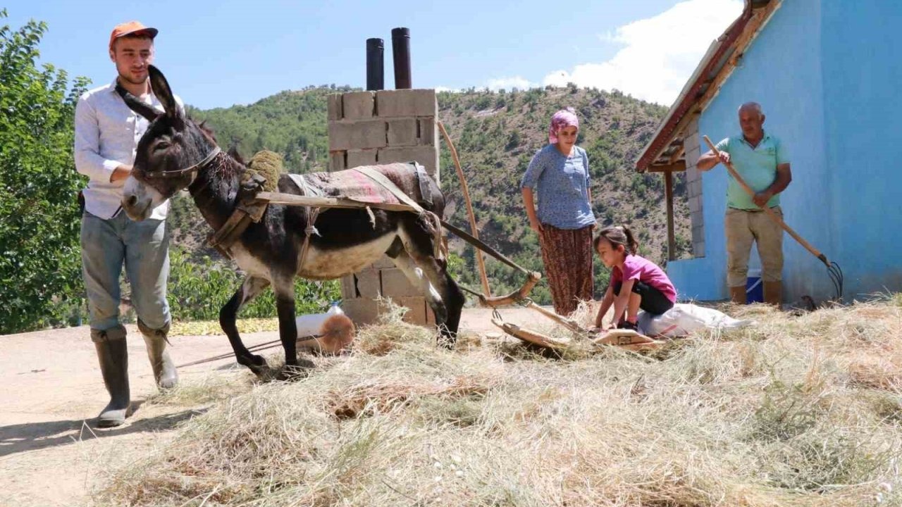 Konya’da geleneksel düvenle saman üretimi sürdürülüyor