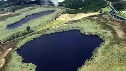 Köyceğiz sazlıklarda yangın