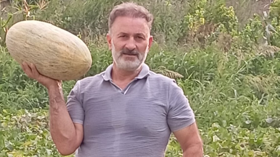 Iğdır'ın Melekli Şalak Kavunu Yeniden Rağbette