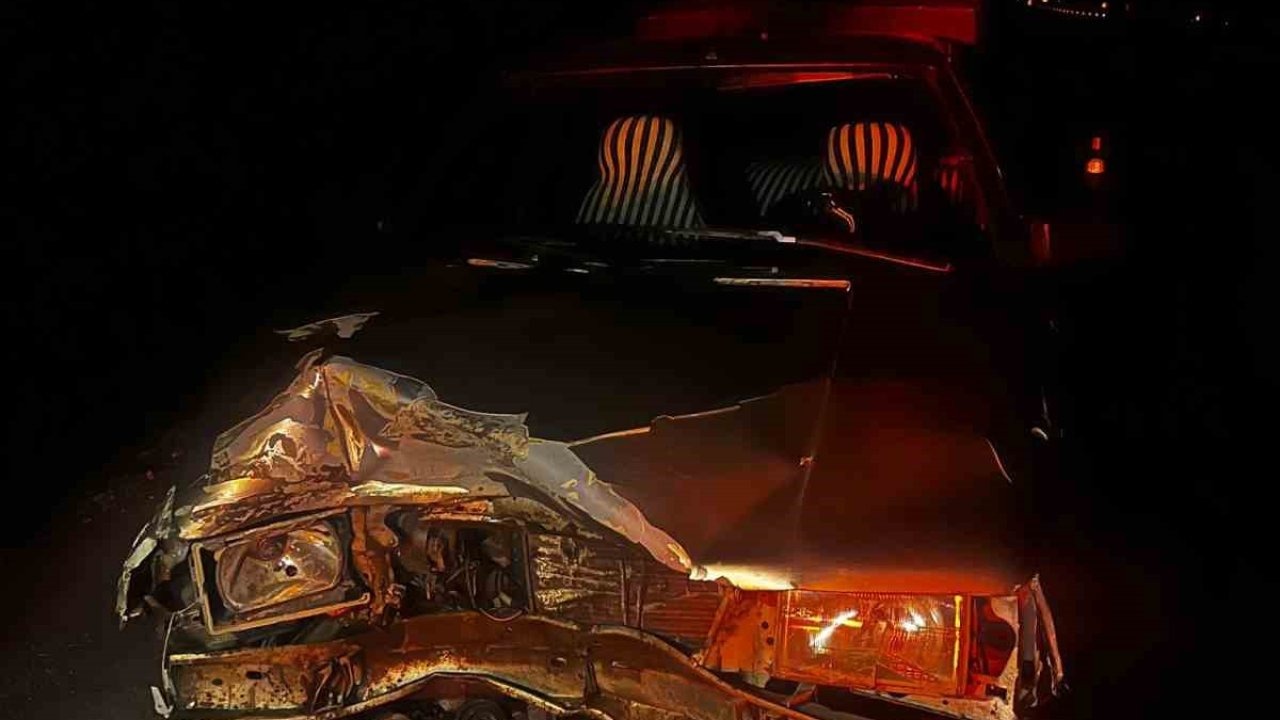 Otomobilin çarptığı domuz telef oldu