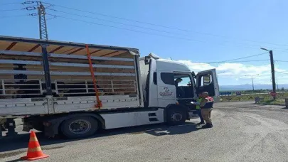 Jandarma ekiplerinden düzensiz göçmen operasyonu