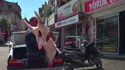 Hijyen kurallarına uymadan otomobil bagajında et taşıdılar