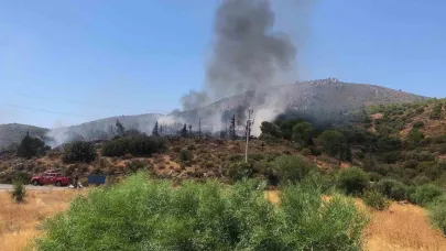 Datça’da makilik yangını