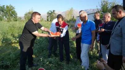 Erzincan’ın bereketli topraklarında üretilen karpuzun hasadı başladı