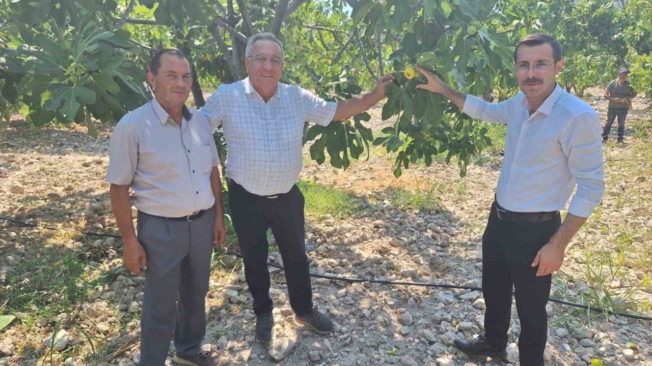 Kaymakam Polat, incir üreticileriyle bir araya geldi