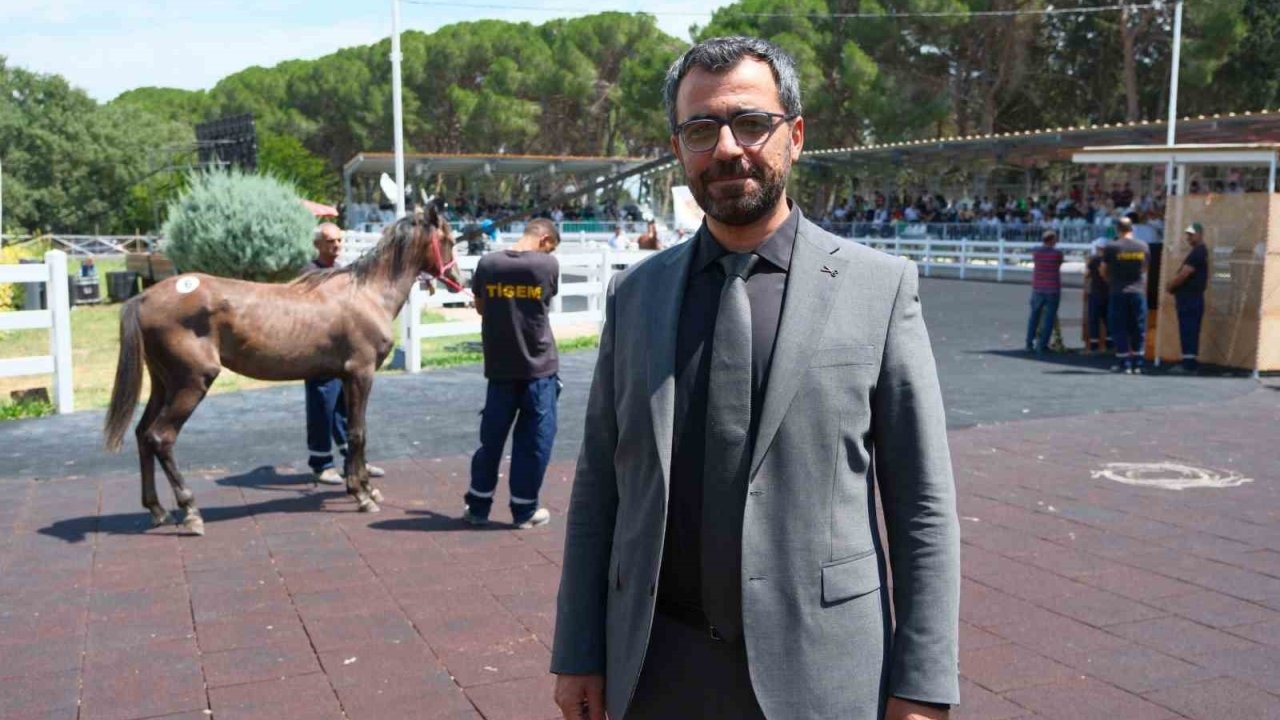TİGEM tay satışı ve koşulardan bu yıl 500 milyon lira gelir bekliyor