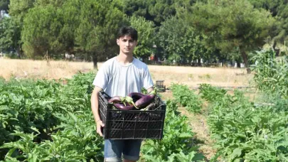 Gazi Tarım’da hasat zamanı