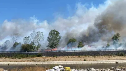 Ayvacık’ta çöplük alanda çıkan yangın ormana sıçradı
