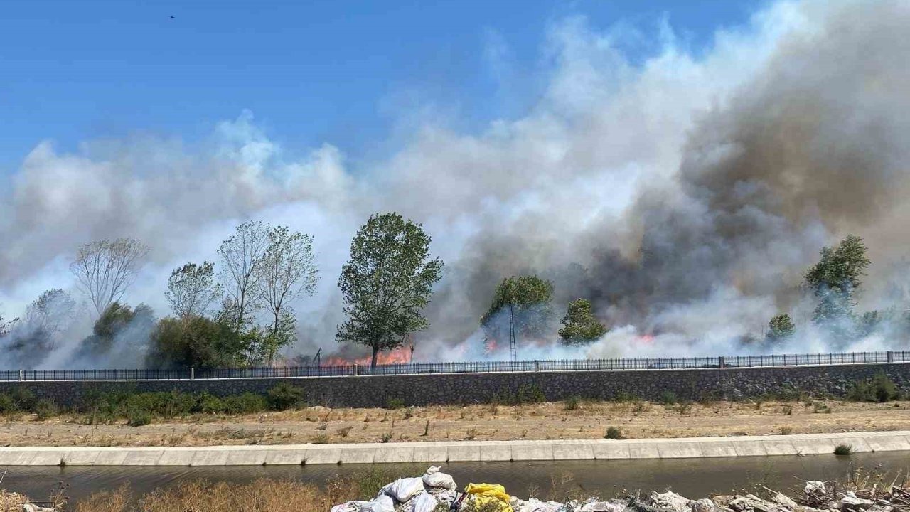 Ayvacık’ta çöplük alanda çıkan yangın ormana sıçradı