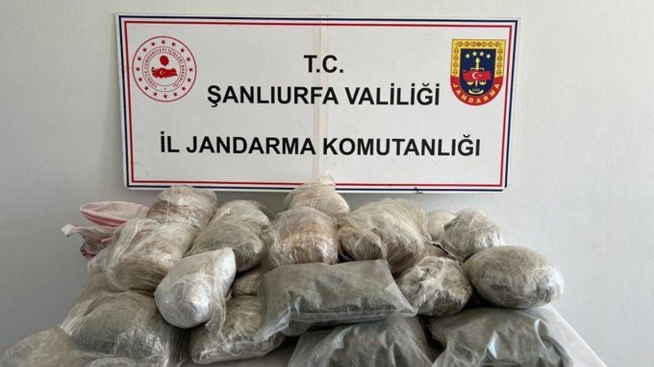 Şanlıurfa’da 26 kilo esrar ele geçirildi
