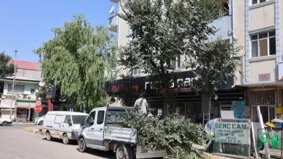 Iğdır Belediyesi’nden Ağaç Budama Çalışması