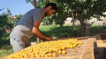 Iğdır’da güneşte kurutulan meyveler pazarda satılıyor