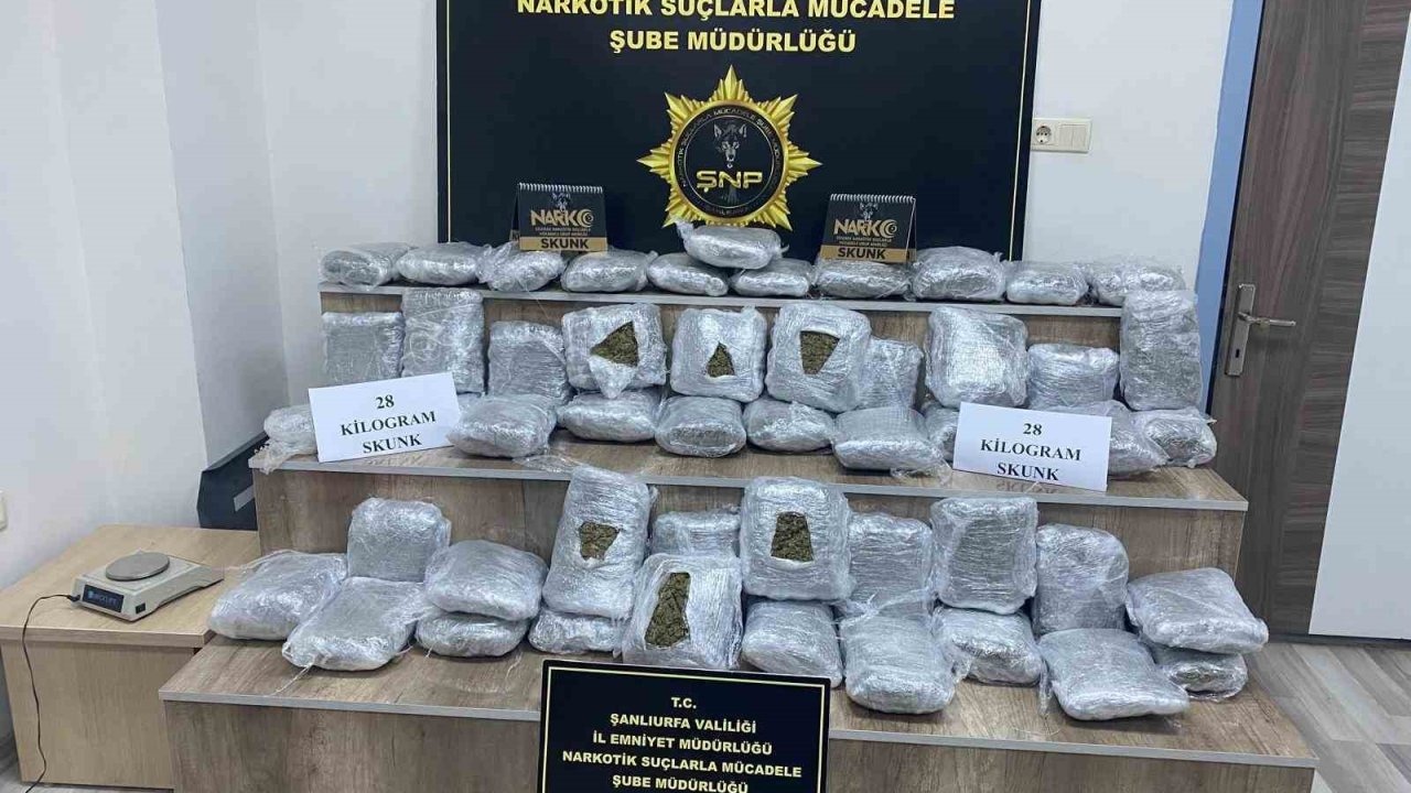 Siverek’te 28 kilo skunk ele geçirildi: 2 tutuklama