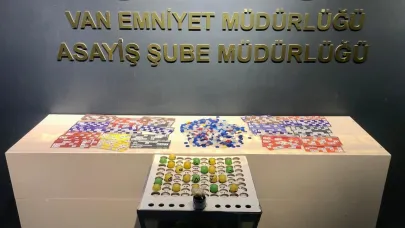 Van’da kesinleşmiş hapis cezası bulunan 110 kişi tutuklandı