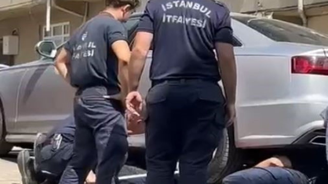 Gurbetçi aileye dönüş zamanı kedi sürprizi