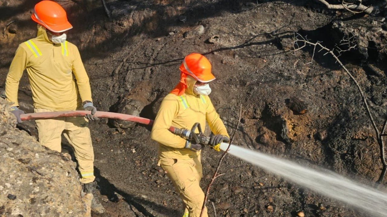 Uşak’taki orman yangını kontrol altına alındı