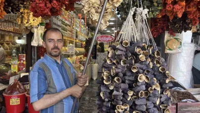 Gaziantep’te yeni mahsul kurutmalıklar tezgahlarda