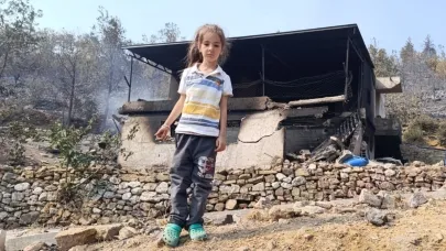 Mersin’de orman yangınında evler yandı, hayvanlar telef oldu