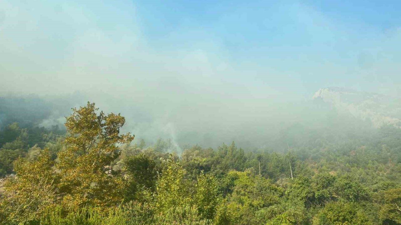Mersin Anamur’daki orman yangını sürüyor, ekipler havadan ve karadan müdahale ediyor