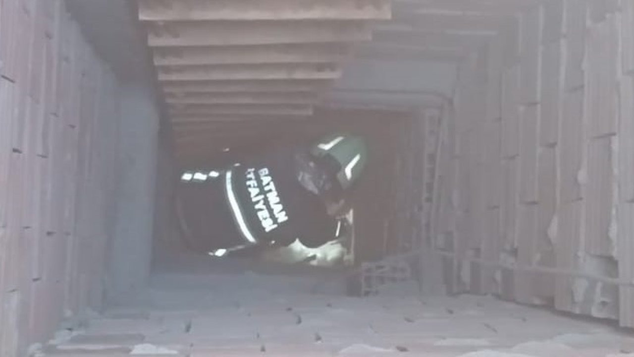 Batman Sanayi Sitesi’nde iş yerinin hava boşluğunda mahsur kalan kedi kurtarıldı