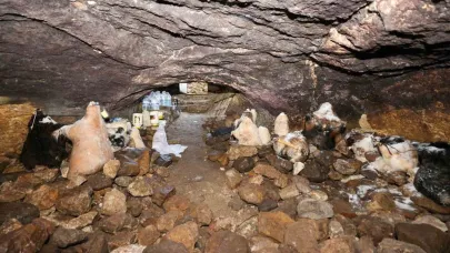 Tulum peynirinin mağaradaki lezzet yolculuğu devam ediyor