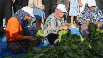 Ellerindeki iğnelerle ödülü alabilmek tütünleri dizmek için kıyasıya yarıştılar