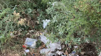 Abbaslık mevkii çöplüğe döndü