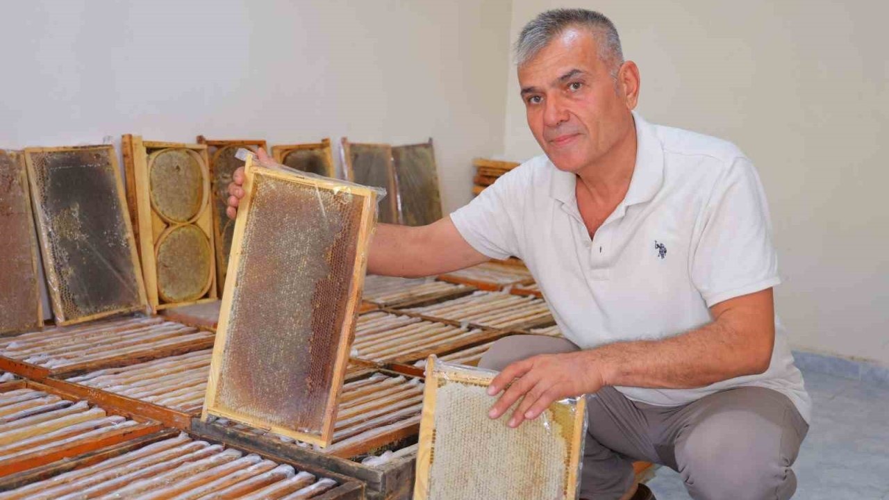 Kahramanmaraş’ta bu yıl 10 bin tonunun üzerinde bal rekoltesi bekleniyor
