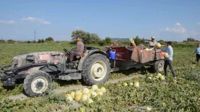 Türkiye, kavuna doyacak