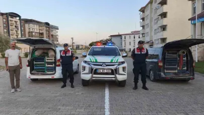 Doğubayazıt’ta kaçak kurbağa avcılığına jandarma operasyonu